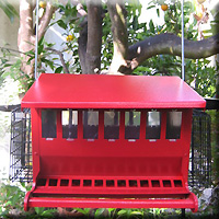 SEED N MORE FEEDER