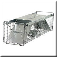 LARGE SQUIRREL TRAP 