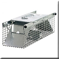 RABBIT TRAP