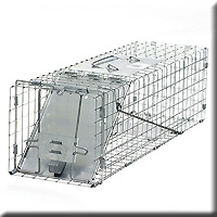 COLLAPSIBLE SQUIRREL TRAP