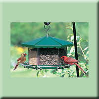 TRIPLE BIN PARTY FEEDER