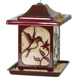 HUMMINGBIRD JOLLY POP RED