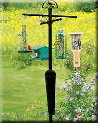 SQUIRREL STOPPER BLACK