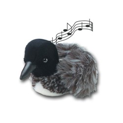 SINGING PLUSH LOON