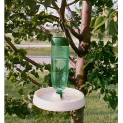 Soda Bottle Bird Bath White