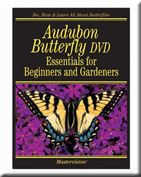 Audubon Butterflies DVD Essentials For Beginners and Gardners