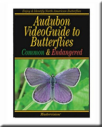 AUDUBON VIDEOGUIDE TO BUTTERFLIES DVD COMMON AND ENDANGERED