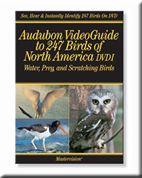 AUDUBON VIDEO BIRDS WATER PREY N SCRATCHING BIRDS