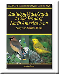 AUDUBON VIDEO 258 BIRDS SONG AND GARDEN BIRDS