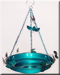 Bird Bath Attracts Dragonflies Med Aqua