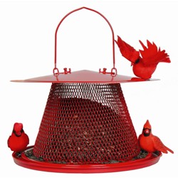Red Cardinal Feeder