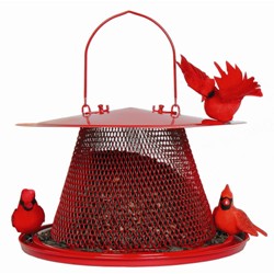 RED CARDINAL FEEDER