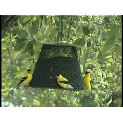 NO NO FEEDER WITH ROOF EXT GRN
