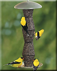 GREEN AND BLACK FINCH FEEDER