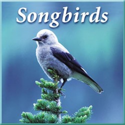 SONGBIRDS CD