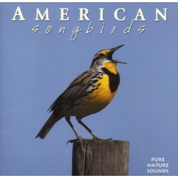 AMERICAN SONGBIRDS CD