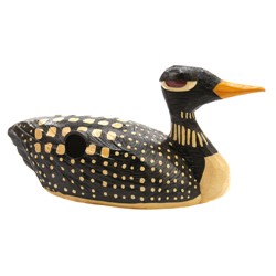 Loony Loon Birdhouse