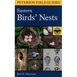 EASTERN BIRDS NESTS