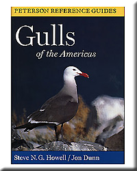 GULLS OF THE AMERICAS