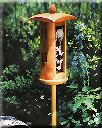 BUTTERFLY HOUSE