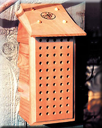 MASON BEE LODGE