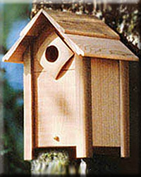 Nesting Box Small