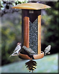 SONGBIRD LANTERN BIG AND TALL