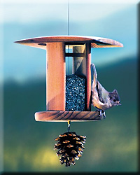SONGBIRD LANTERN NYGER
