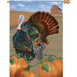 TURKEY RUN HOUSE FLAG