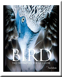 BIRD THE DEFINITIVE VISUAL GUIDE