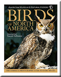 BIRDS OF N AMERICA