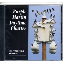 DAY TIME CHATTER CD