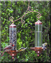 COPPER SIP AND SEED