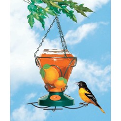 COLIBRI DELUXE ORIOLE FEEDER 24 OZ