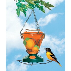 Colibri Deluxe Oriole Feeder 24 oz