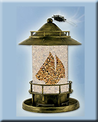 WB MARQUE FEEDER