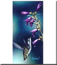 HUMMER SUMMER 2 8X10 PRINT