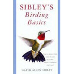 SIBLEYS BIRDING BASICS