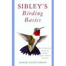 Sibleys Birding Basics