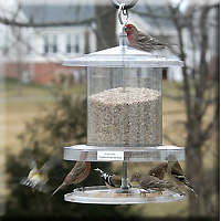 ALL WEATHER FEEDER 4QT CLEAR