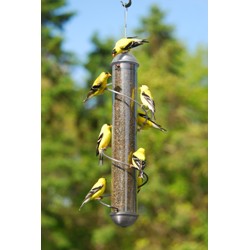 METAL SPIRAL FINCH TUBE FEEDER 17IN