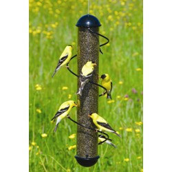 ELEGANT SPIRAL THISTLE FEEDER 17IN