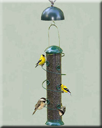 Super Spiral Sunflower Feeder Twirl A Squirrel Combo