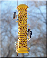 SPIRAL WHOLE PEANUT FEEDER JUMBO