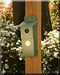 NESTING BOX HUNTER GREEN