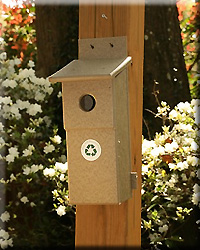 NESTING BOX DRIFTWOOD