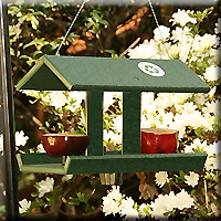 FRUIT JELLY FEEDER WITH GREEN DISH