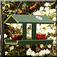 Fruit Jelly Feeder with Green Dish