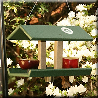 FRUIT JELLY FEEDER WITH DISH HUNTER DRIFTWOOD