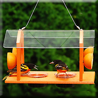 Grand Slam Oriole Feeder